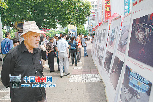 市民观看摩托交通肇事警示图片展 营造交管良好环境