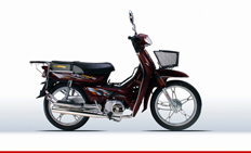 豪江豪佳弯梁系列HJ100-D摩托车 HJ100-D