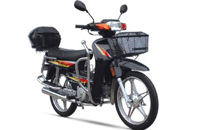 济南轻骑弯梁系列骏骑(QM110-3(Ⅱ)D 08版)摩托车 骏骑(QM110-3(Ⅱ)D 08版)