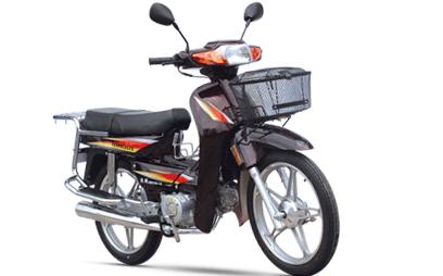 济南轻骑弯梁系列骏骑(QM110-3(Ⅰ)D 08版)摩托车 骏骑(QM110-3(Ⅰ)D 08版)