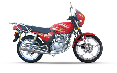 济南轻骑跨骑GS系列轻骑王(QM125-2(Ⅱ)D 08版)摩托车 轻骑王(QM125-2(Ⅱ)D 08版)