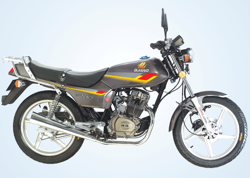 钱江骑式车钱江龙QJ125-21B a1摩托车 QJ125-21B a1