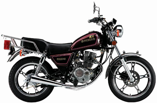 大阳125系列远航Ⅱ·傲狮 125-16摩托车 远航Ⅱ·傲狮 125-16