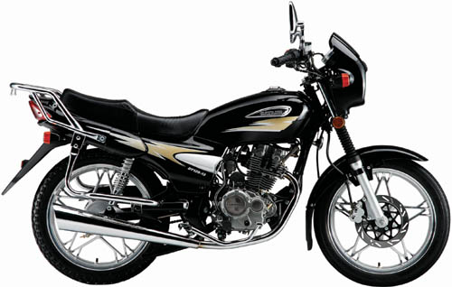 大阳125系列远航Ⅱ·傲狮 125-13摩托车 远航Ⅱ·傲狮 125-13