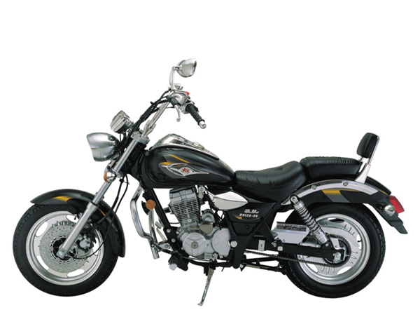 大阳骑式系列DY125-35摩托车 DY125-35