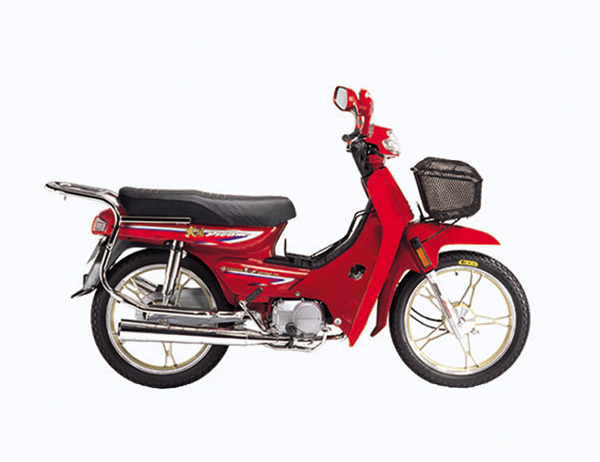 大阳弯梁系列DY100-7摩托车 DY100-7
