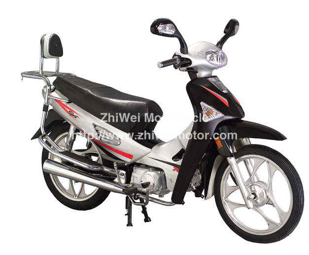 之威ZW110摩托车 ZW110