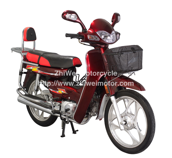 之威ZW100摩托车 ZW100