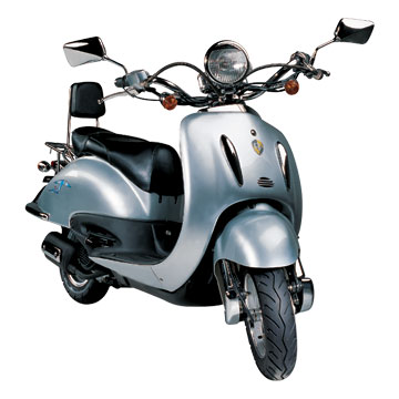 中能大龟王(ZN150T-E)摩托车 中能大龟王(ZN150T-E)