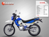 珠峰异型车系列zf125gy 02#摩托车 zf125gy 02#