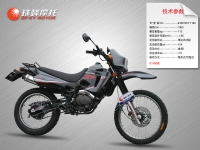 珠峰异型车系列zf125gy 01#摩托车 zf125gy 01#