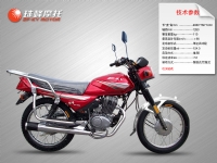 珠峰骑士车系列ZF125A(v)/ZF150-3b(V)-13#摩托车 ZF125A(v)/ZF150-3b(V)-13#