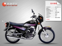 珠峰骑士车系列zf125-21a 02#摩托车 zf125-21a 02#