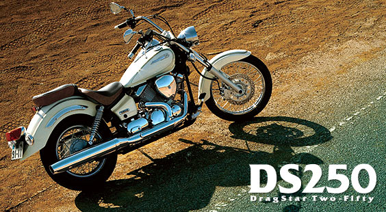 日本(雅马哈)Yamaha DS250摩托车 DS250
