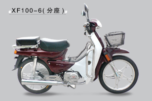 先风弯梁车系列XF100-6摩托车 XF100-6