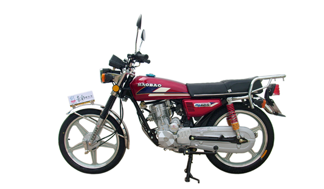 豪豹跨骑式系列HB125/02号花摩托车 HB125/02号花
