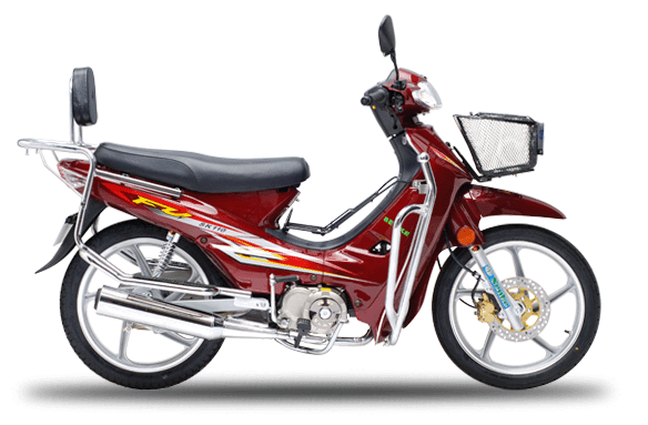 森科SK110系列SK110(H)摩托车 SK110(H)