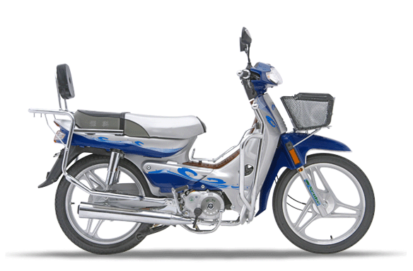 森科SK100系列SK100(B)摩托车 SK100(B)
