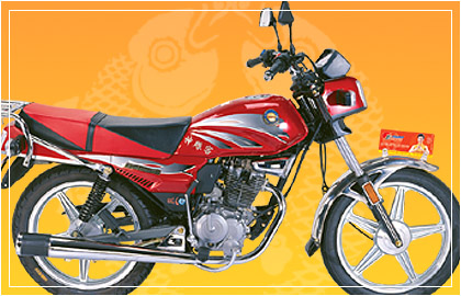 大福骑式车系列DF125-5神雕客摩托车 DF125-5神雕客