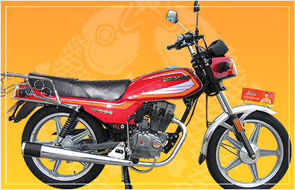 大福骑式车系列DF125-5 银彩摩托车 DF125-5 银彩