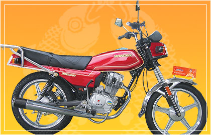 大福骑式车系列DF125-5 1号花摩托车 DF125-5 1号花