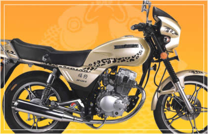 大福骑式车系列DF125-9 福豹摩托车 DF125-9 福豹