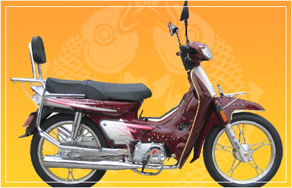 大福弯梁车系列DF110-2火树银花摩托车 DF110-2火树银花