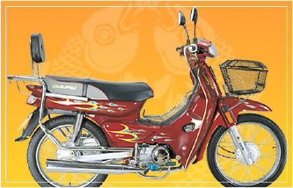 大福弯梁车系列DF110-2孔雀开屏摩托车 DF110-2孔雀开屏