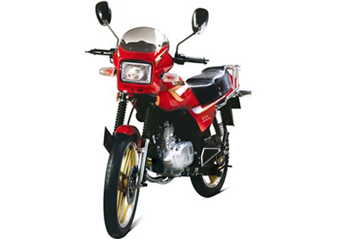南海轻骑跨骑车系列SJF125-10A 红豹摩托车 SJF125-10A 红豹