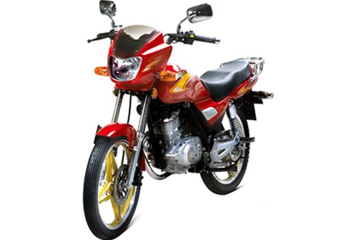 南海轻骑跨骑车系列SJF125-10A路豹摩托车 SJF125-10A路豹