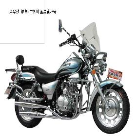山崎风暴款/兰新花07号（银白/绿）两轮摩托车 风暴款/兰新花07号（银白/绿）