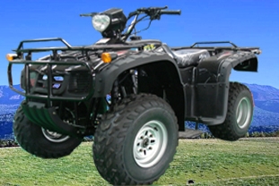 光宇沙滩车系列CM200ST-2A EEC APPROVED沙滩车 CM200ST-2A EEC APPROVED