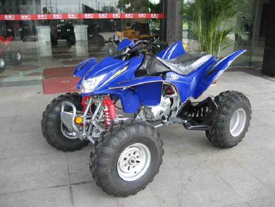 精通力阳KT250ATV-6沙滩车 KT250ATV-6