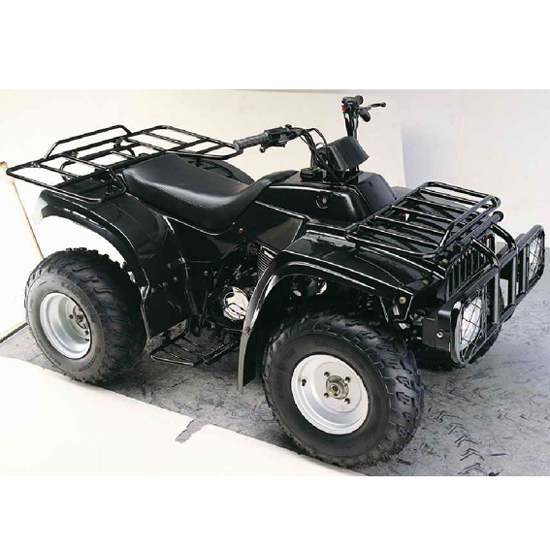 精通力阳KT250ATV-2沙滩车 KT250ATV-2