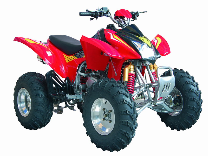 劲扬沙滩车系列QH 250STW沙滩车 QH 250STW