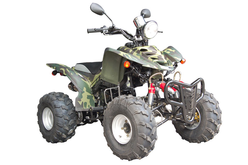 劲扬沙滩车系列QH250ST EEC沙滩车 QH250ST EEC