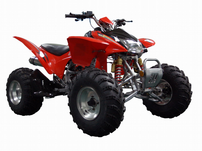 劲扬沙滩车系列QH250STW-2沙滩车 QH250STW-2