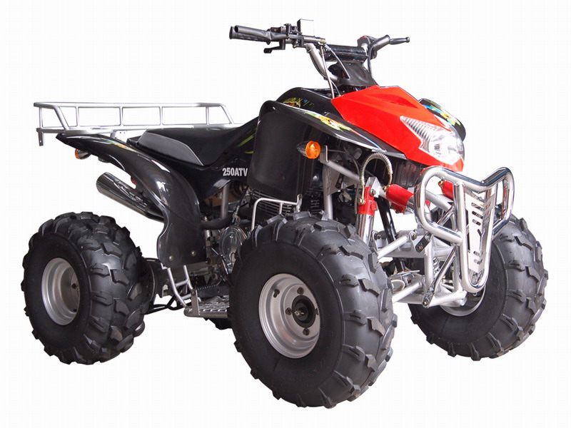 劲扬沙滩车系列QH250ST-3沙滩车 QH250ST-3