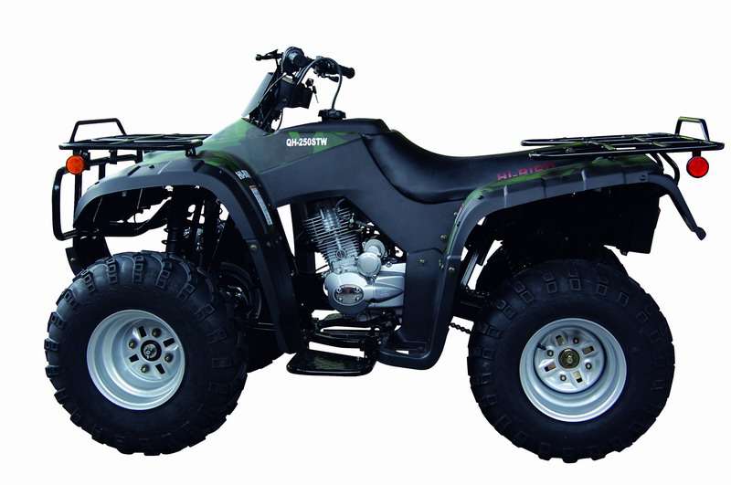 劲扬沙滩车系列QH250ST-2沙滩车 QH250ST-2