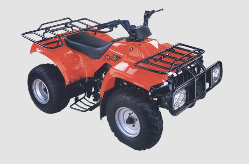 广益沙滩车系列XYG250S沙滩车 XYG250S