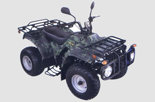 广益沙滩车系列XYG250S-3沙滩车 XYG250S-3