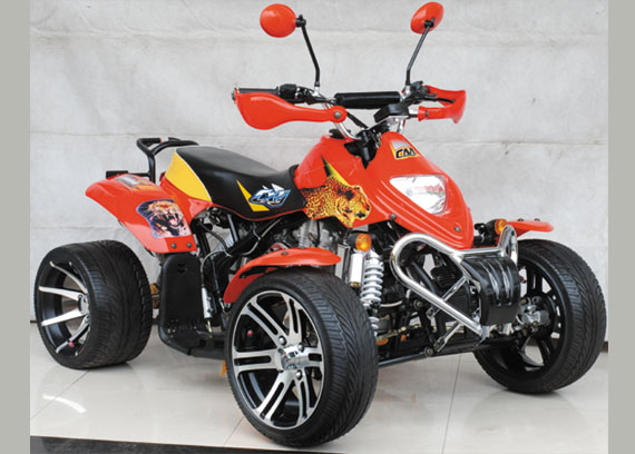 昌明沙滩车系列CM250ST-6 EEC沙滩车 CM250ST-6 EEC