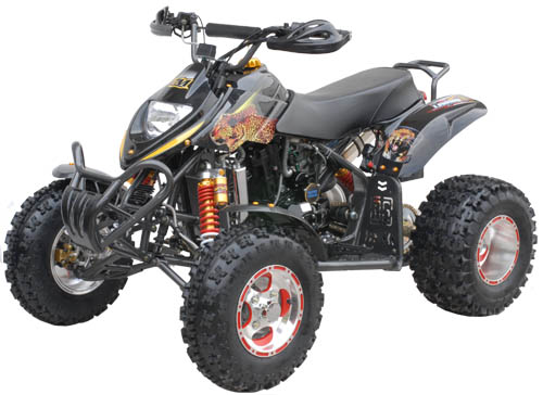 昌明沙滩车系列CM250ST-6沙滩车 CM250ST-6