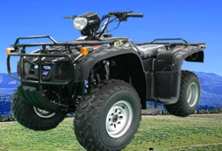 昌明沙滩车系列CM200ST-2A EEC APPROVED沙滩车 CM200ST-2A EEC APPROVED