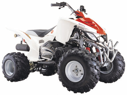 隆鼎四轮车系列ATV125/150-M沙滩车 ATV125/150-M