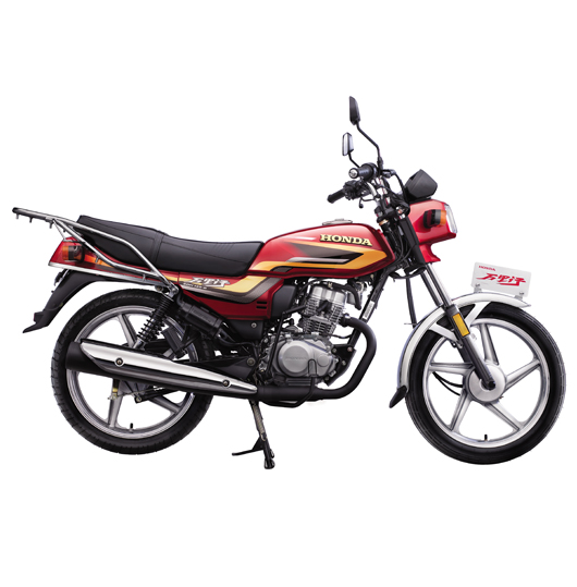 新大洲本田跨骑系列SDH125-B  万里行摩托车 SDH125-B  万里行