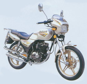 金捷跨骑系列金捷豹JD110-13/JD125-19摩托车 JD110-13/JD125-19