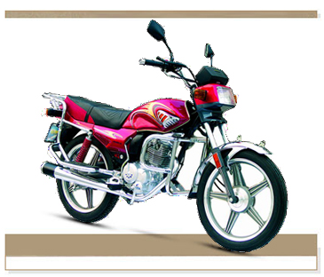 金捷跨骑系列JD125-2J摩托车 JD125-2J