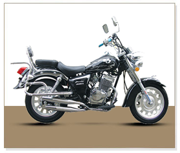 金捷跨骑系列JD250-2摩托车 JD250-2