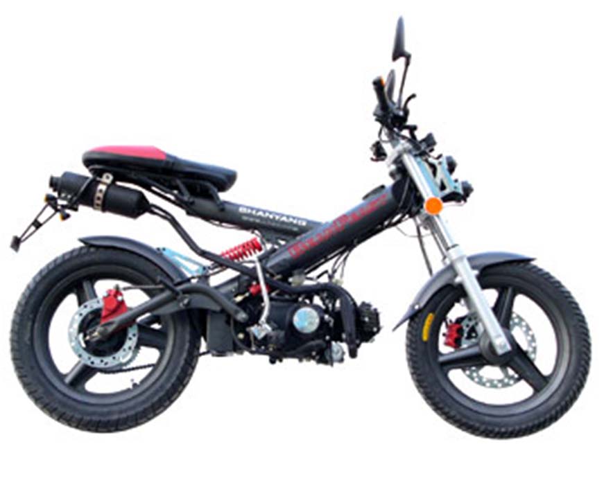 林芝山阳跨骑车系列SY100-DL摩托车 SY100-DL